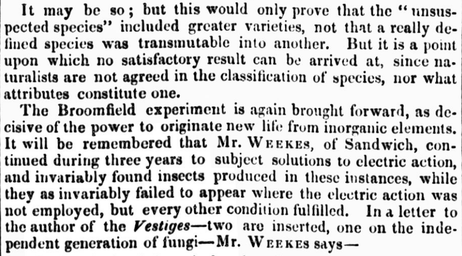 Original Newspaper Clipping